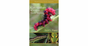 Caterpillars of Eastern North America